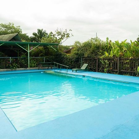 Cabanas El Bosque Turrialba Exterior photo