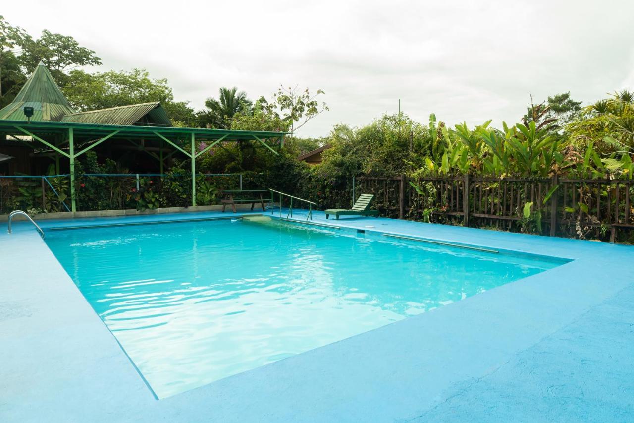 Cabanas El Bosque Turrialba Exterior photo